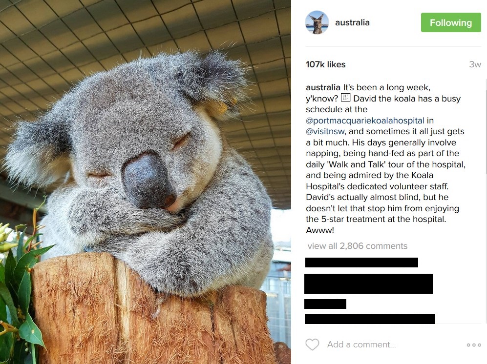 Tourism Australia Social Media Instagram